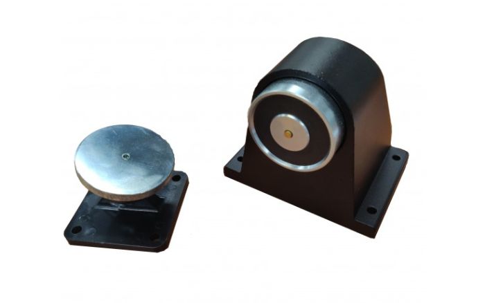 Floor Mount Door Holder - 50kg